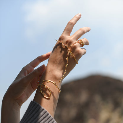 نجمة المساء 